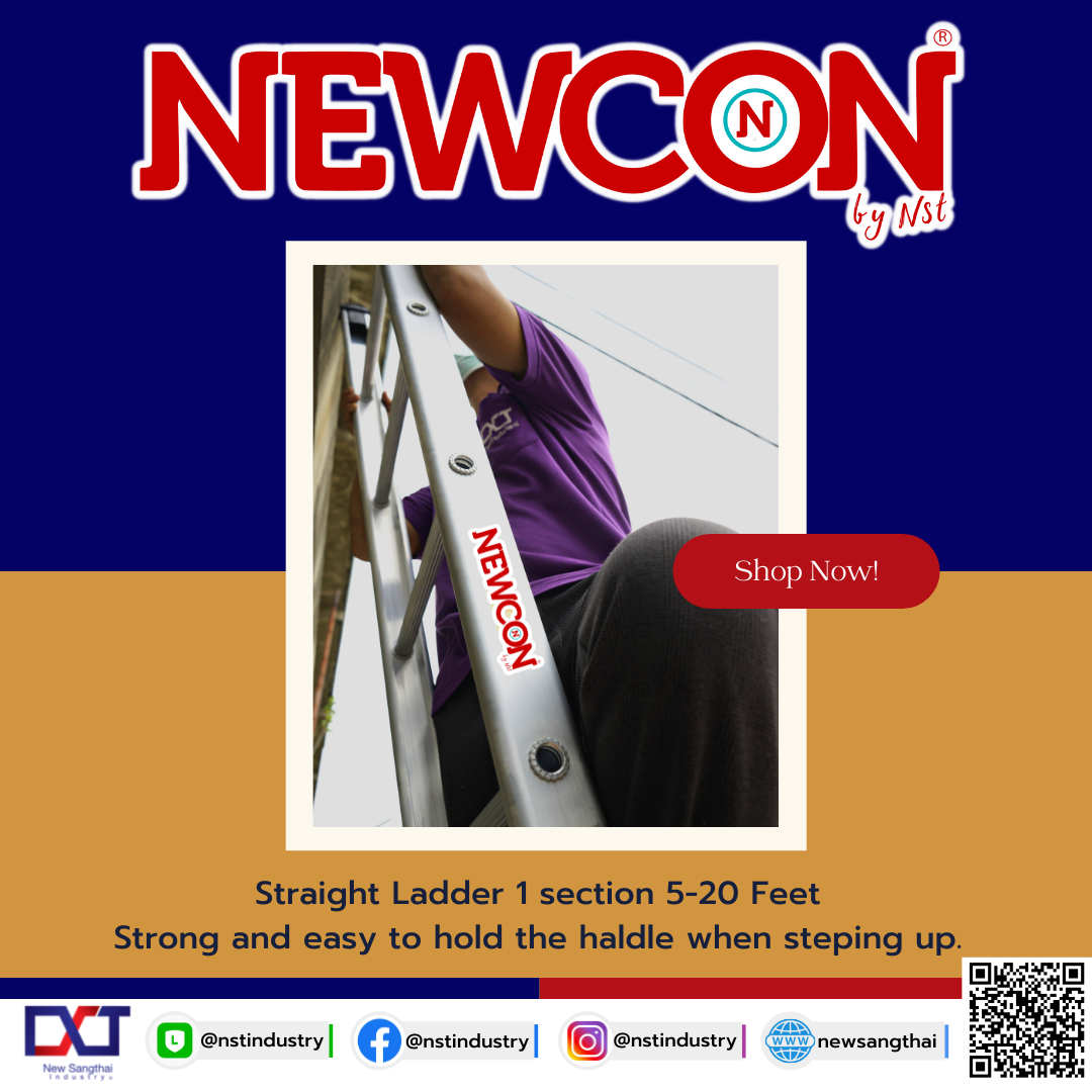 NEWCON Straight Ladder convenient to 20 feet height
